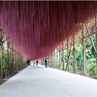 锦屏藤苗/蔓地榕/珠帘藤苗/一帘幽梦苗/富贵帘龙须草爬藤绿植包邮