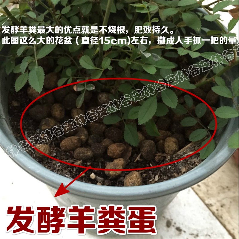 极速羊粪发酵有机肥 干羊粪蛋 铁皮石斛专用肥料兰花基肥缓释肥羊