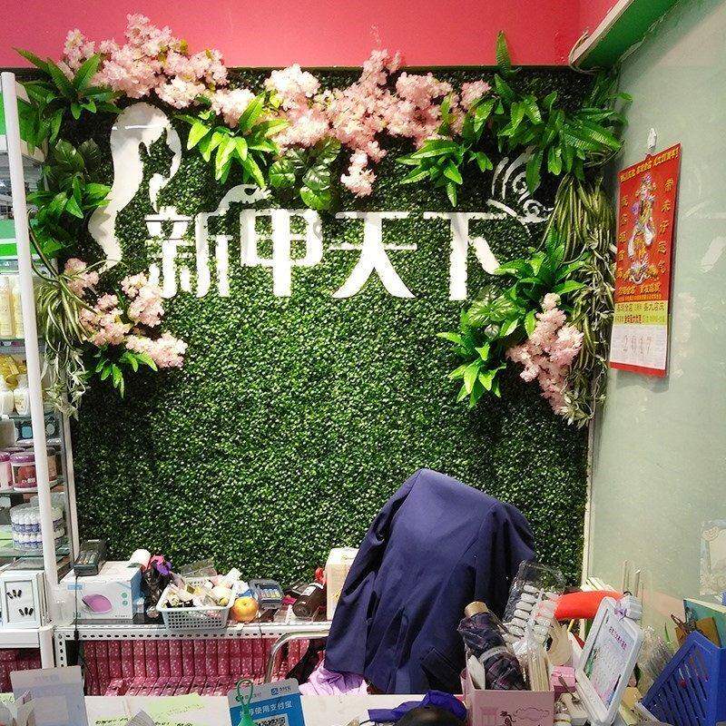极速绿草照相馆墙体带花草皮墙塑胶植被幼儿园假草坪假地皮地垫子