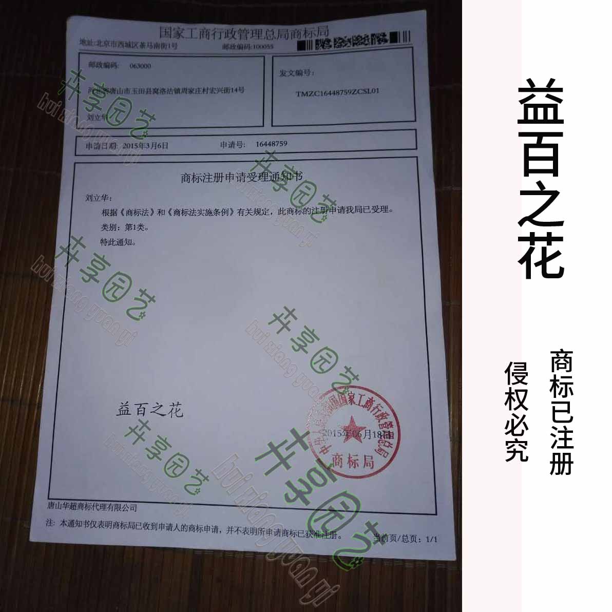 极速矾肥水酸性营养液无臭味植物液体肥治黄叶栀子花三角梅肥茉莉