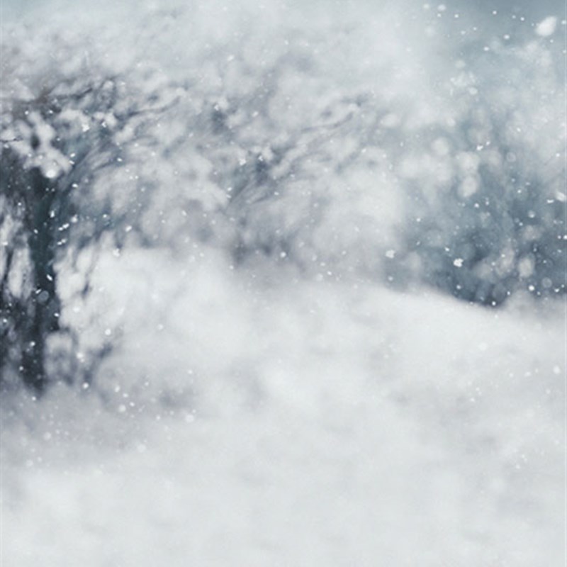 好货影楼摄影写真古装主题雪景拍照背景纸影楼室外背景PZ-1318