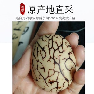 新品象牙果菩提原料原籽雕刻按个佛头三通DIY白玉菩提子佛心果佛