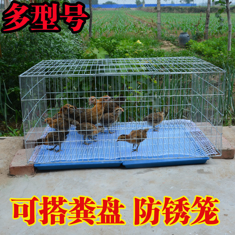 兔笼兔笼加粗加密镀锌铁丝笼子鸽子笼鸡笼子家用特大号养殖鸡笼