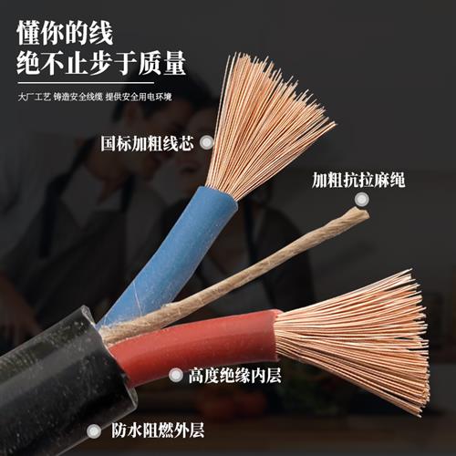 好货国标2芯足1.52.546平方电线电缆线户外三芯护套线插头带线软