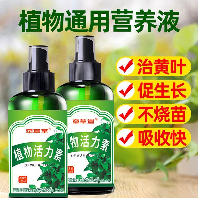 极速营养液植物通用型发财树富贵竹绿萝水培花卉绿植一喷绿液体肥