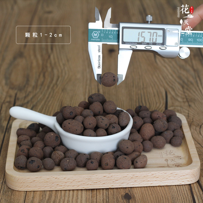 极速陶粒 盆栽垫底透气 吸水 十二卷多肉植物种植铺垫底 轻质空心