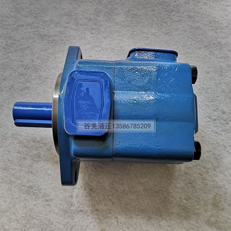 叶片泵 油泵 25V21A高压 35V 45V50 注塑机鞋机 油压机液压叶片泵