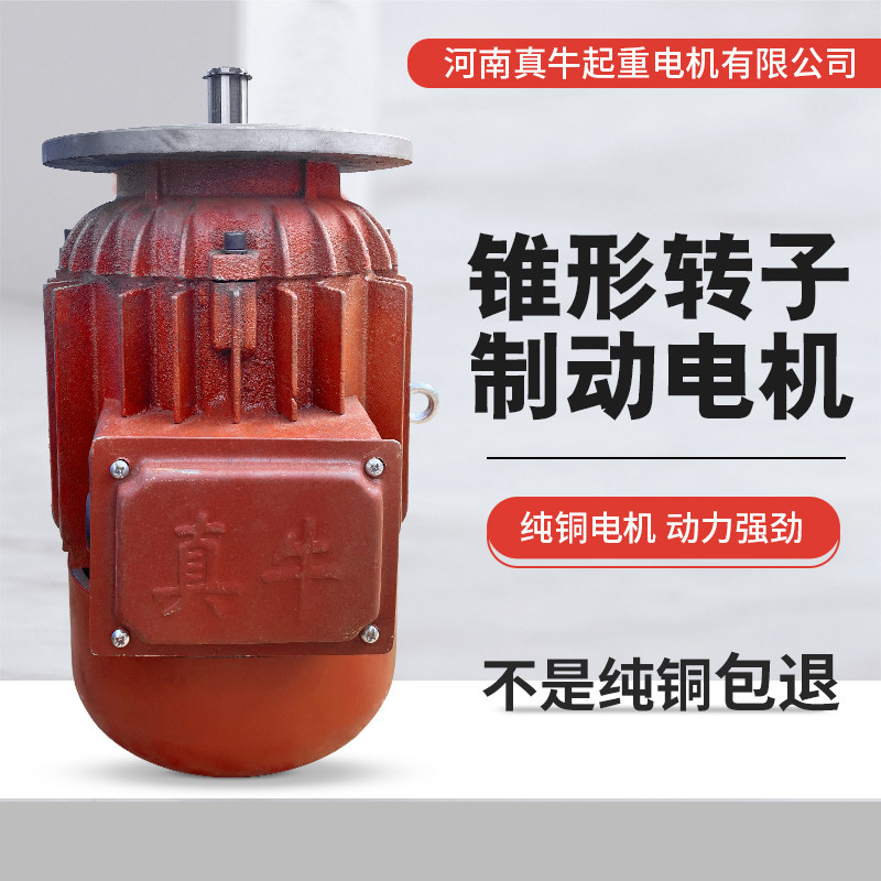 好货河南真牛电机ZDY123-4锥形转子三相异步行车起重机葫芦跑车电