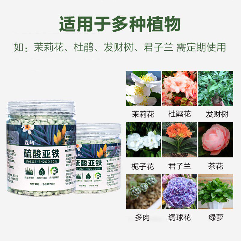 极速硫酸亚铁花肥料土壤改良酸性茉莉杜鹃花茶花绿萝发财树黄叶家