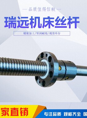新品浙江瑞远数控机床i滚珠丝杠FD2004*410,FD2004*510,FD2004*43