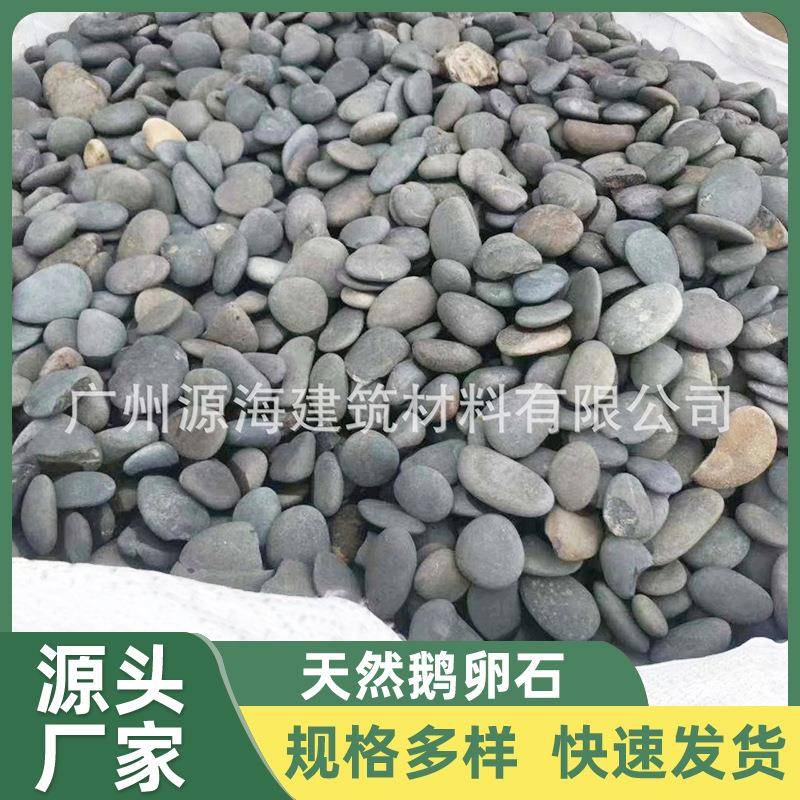 河滩卵石天然鹅卵石铺底原石石子石头鹅软五彩石彩色河卵石海南