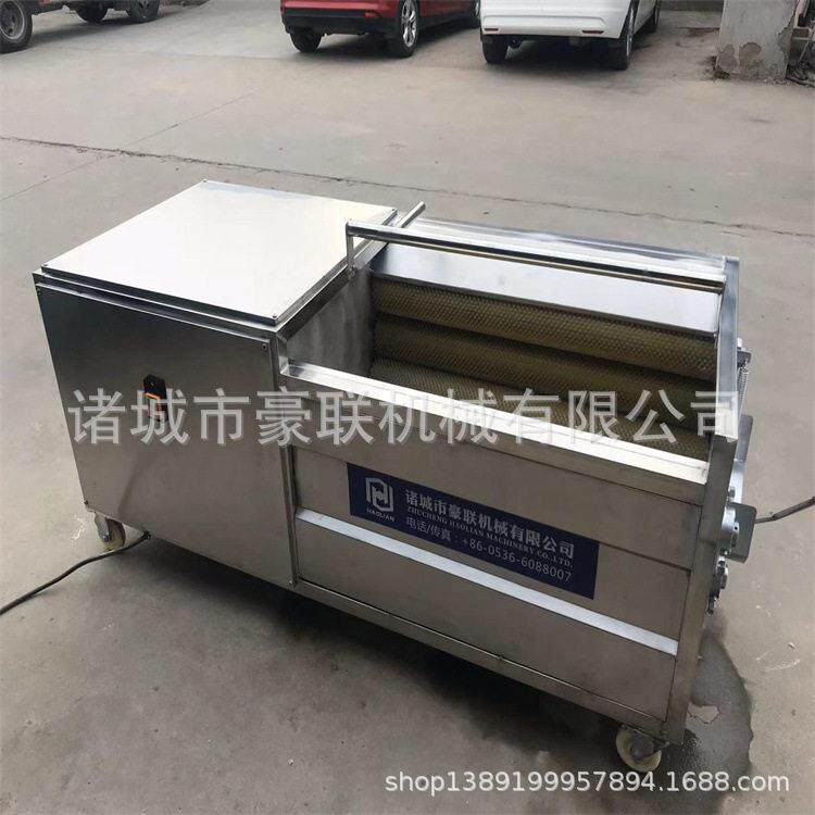 芋头土豆罗汉果清洗机优质毛辊清洗机根茎类果蔬清洗