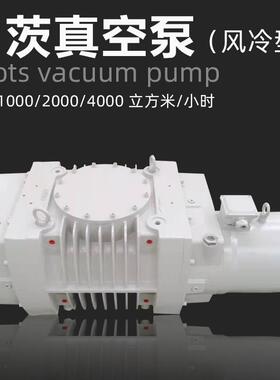 阿斯诺罗茨真空泵RS4000莱宝机械增压泵WH(U)4400大流量风冷