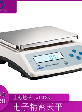 上海越平YP-20000/YP-30000电子天平1g