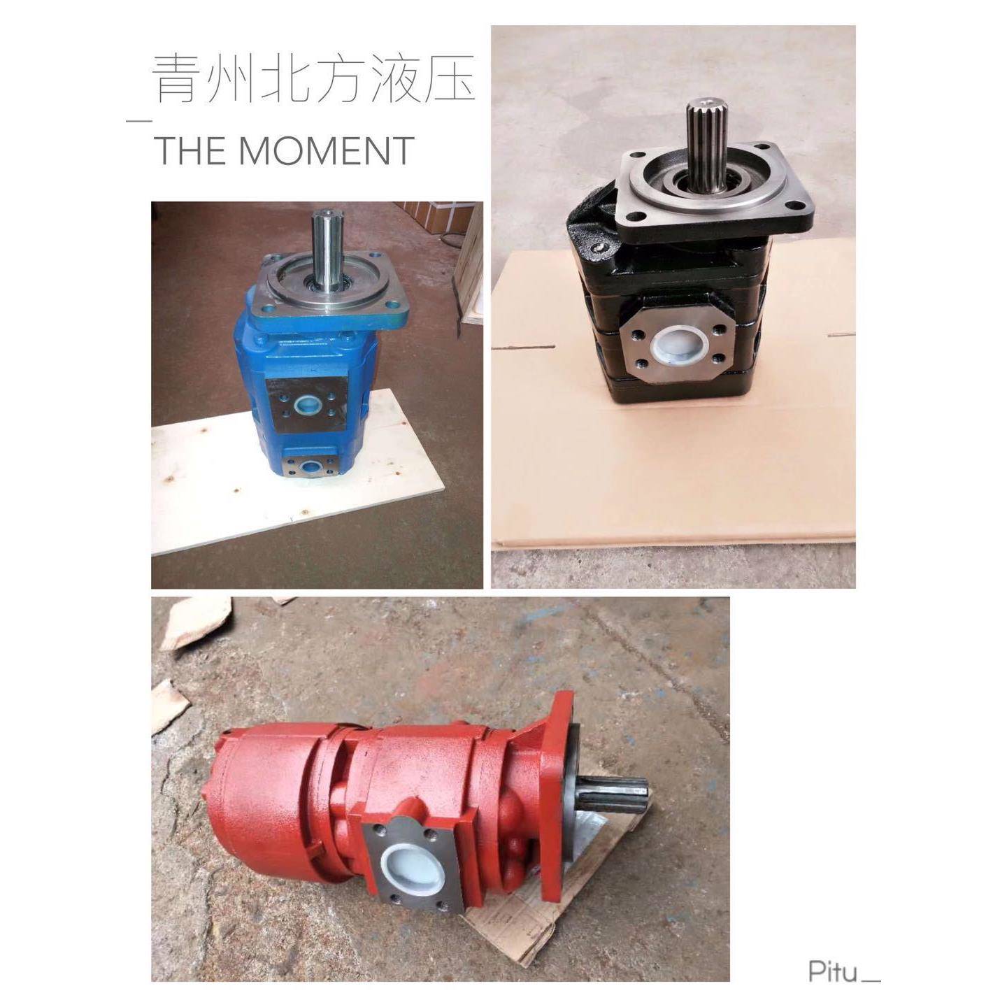 CBY3063/2016-B2FR厂家供应齿轮双联泵