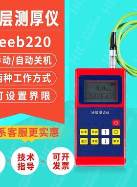里博220涂层测厚仪铁基分体式电镀层漆膜仪油漆镀锌厚度测量