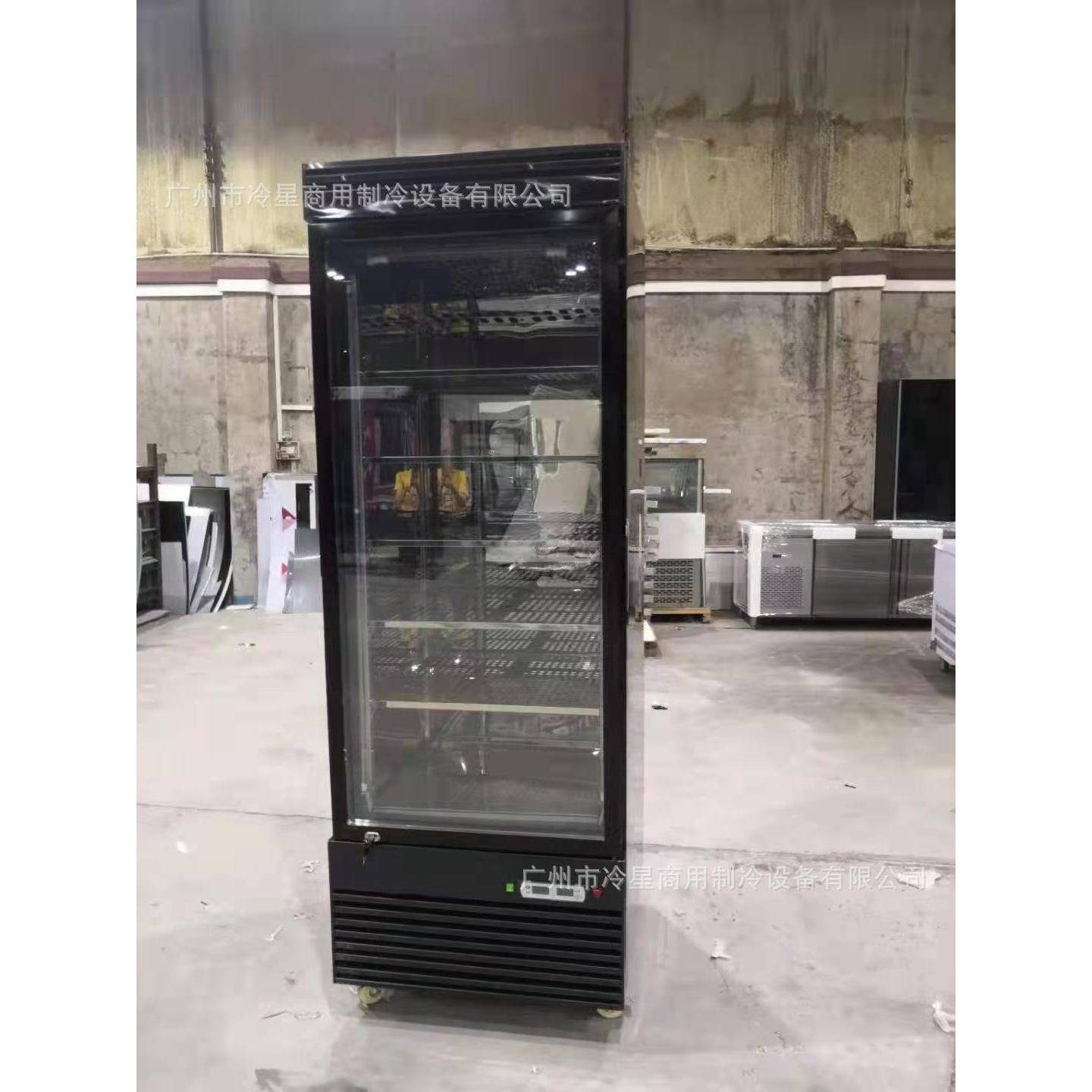 干式熟成柜商用牛肉排酸柜湿式冷藏保鲜柜冷冻柜西餐红酒恒温恒湿
