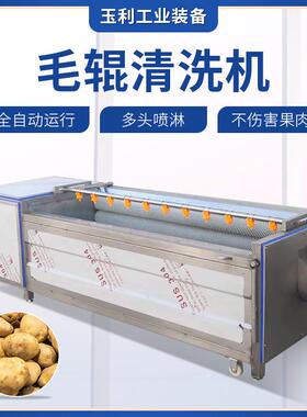 胡萝卜地瓜红薯去泥毛辊清洗机大头菜去皮清洗机全自动洗姜机