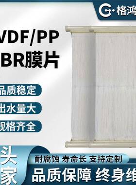 生活污水MBR帘式膜pvdf膜片滤膜生活工业污水处理膜片生产