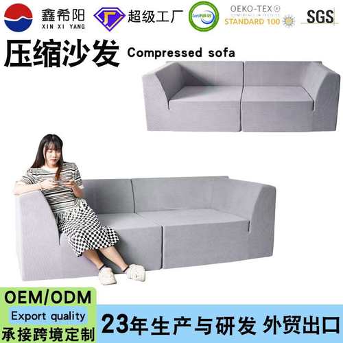 客厅沙发高密度海绵双人组合沙发工厂compressed Sofa