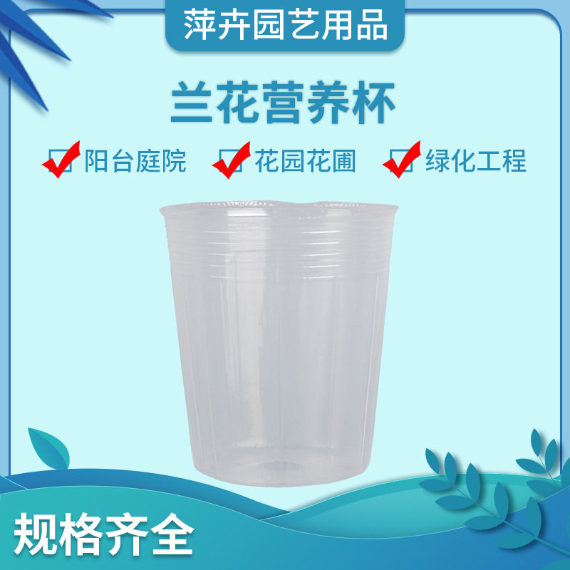 蝴蝶兰兰花用营养钵营养杯透明育苗盆花盆一次性移植兰花透明营养