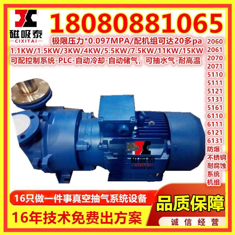 红河2BV水环式真空泵工业用真空水循环真空泵压缩机水环式维修