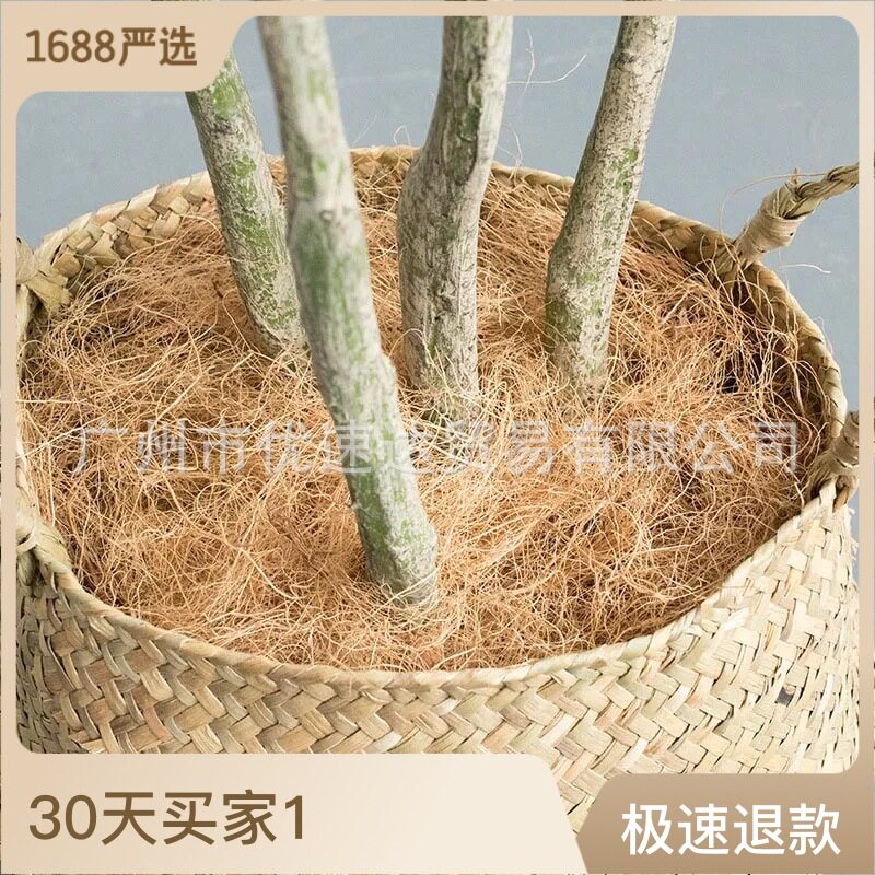 源头工厂越南椰棕丝纤维床垫坐垫椰棕花篮植物铺面可降解椰丝