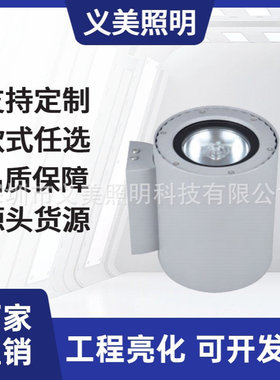 厂家直销6W10W18W20W40W60W户外防水LED壁灯户外亮化别墅义美照明