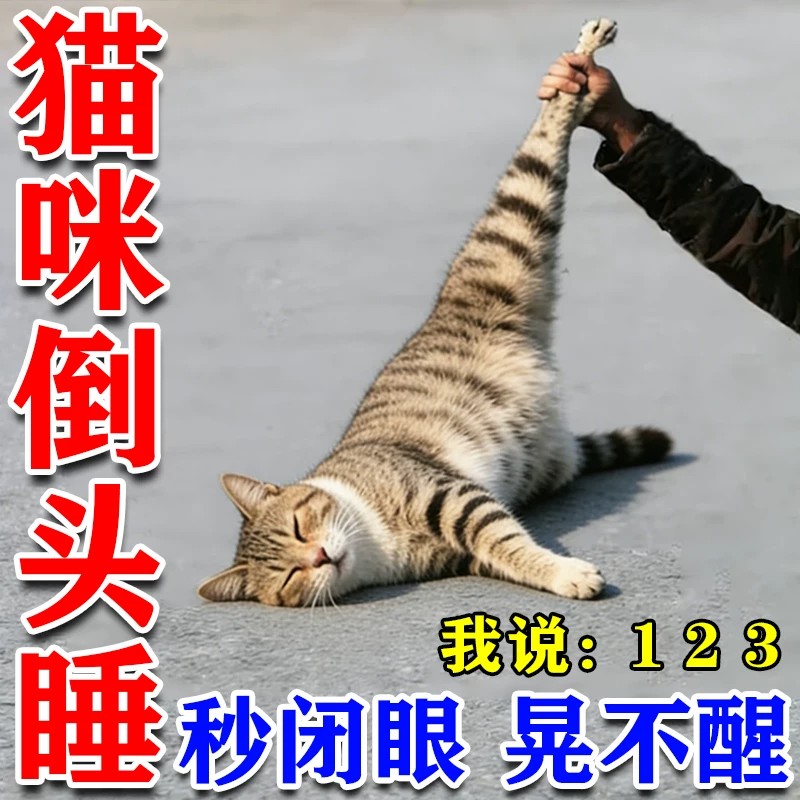猫咪麻醉镇定剂快速睡眠宠物洗澡剪指甲救助猫咪情绪舒缓剂防应激