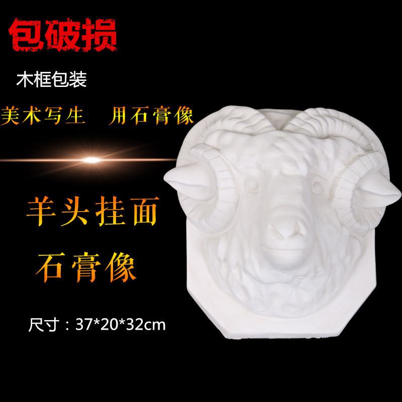 适配羊头半面石膏像素描写生静物模型摆件美术用品雕像石膏头像动