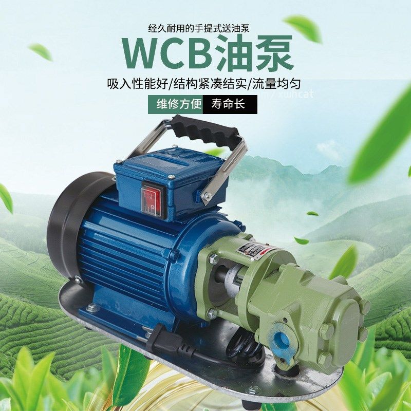 直销WCB不锈钢齿轮油泵手提泵润滑泵三相抽油泵柴油泵 油泵,五金/工具,水泵,淘宝优惠券,粉丝福利购,淘宝优惠卷