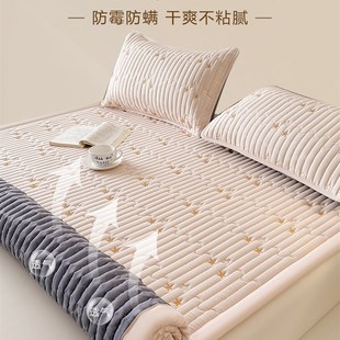 防潮床垫软垫家用薄款租房专用床褥子垫被1米5x2米四季通用可折叠
