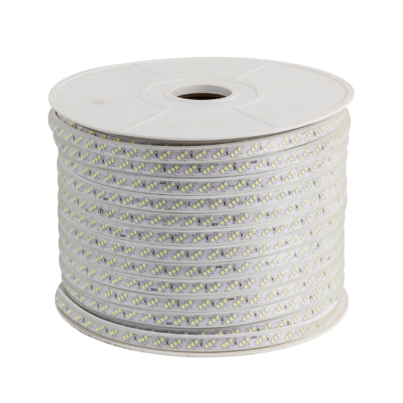 灯带lebd灯带客厅家用超亮光带七彩变色灯条户外防水180珠线灯220