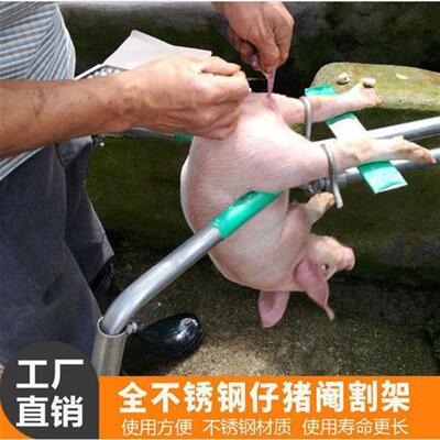 极速不锈钢阉猪架阉割架小猪阉猪三脚架阉割器仔猪用阉猪器阉猪刀