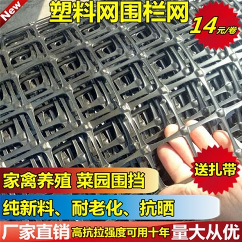 纯新料塑胶网养殖网格栅网拦鸡鸭护栏G网隔离网围栏网脚垫漏粪黑