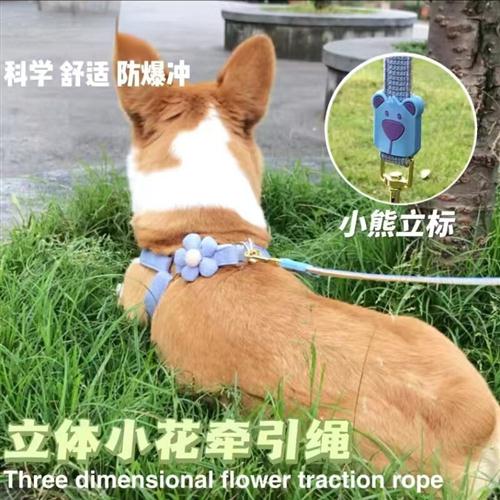 宠物狗狗五瓣花牵引绳溜u猫绳小型犬胸抱婴袋卡通狗炼狗绳子厂家