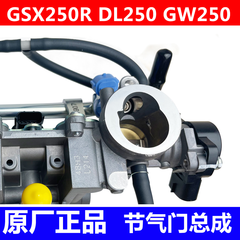 适骊驰GW250 DL250 GSX250R -A 节气门总成电喷化油器接口原厂
