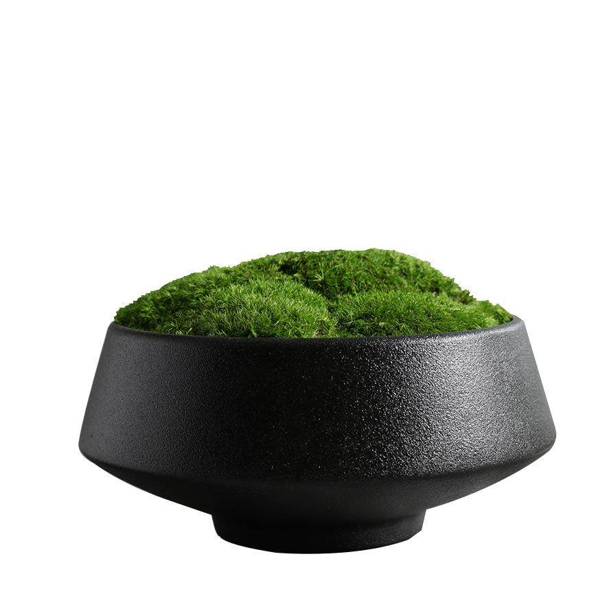 永生苔藓盆景盆栽仿真植物微景观中式桌面花艺客厅玄关前台摆件,鲜花速递/花卉仿真/绿植园艺,仿真绿植,淘宝优惠券,粉丝福利购,淘宝优惠卷