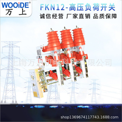 FKN12-12D 10KV户内高压充气式负荷开关 熔断式组合开关