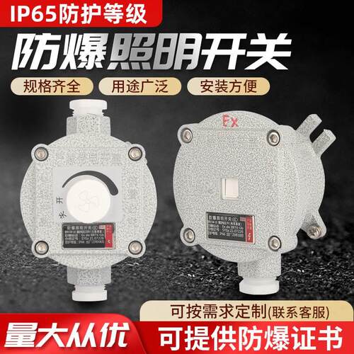 EX防爆网络电话插口防爆人体感应声光控延时开关电脑USB接口