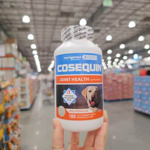 CosequinDS狗狗MSM加强型