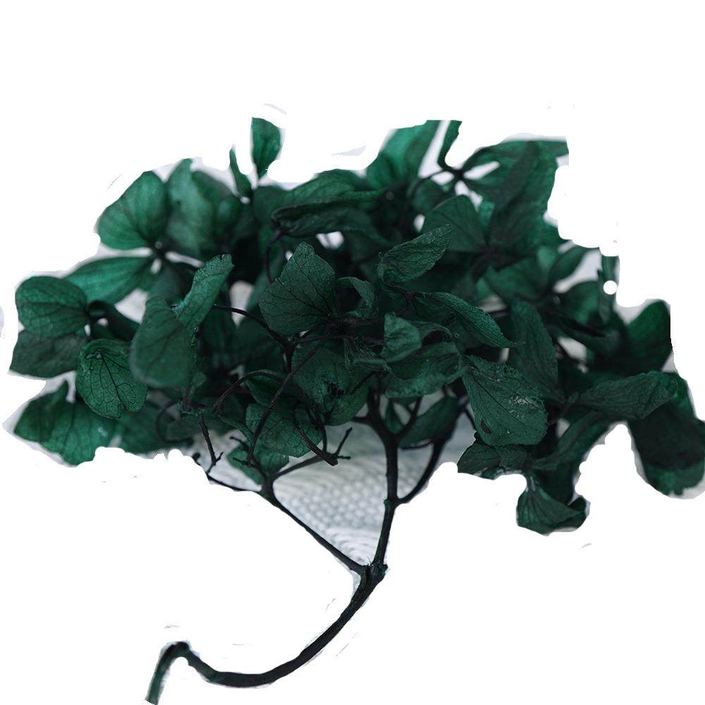B级安娜木绣球永生花材梦幻绣球渐变色绣球干花保鲜花100g/袋,家居饰品,餐桌花艺,淘宝优惠券,粉丝福利购,淘宝优惠卷