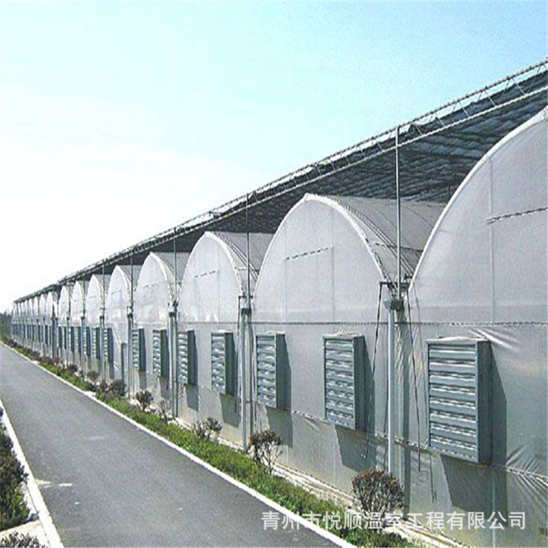 薄膜温室大棚 连栋薄膜温室塑料连体温室 圆拱型连栋温室厂家安装