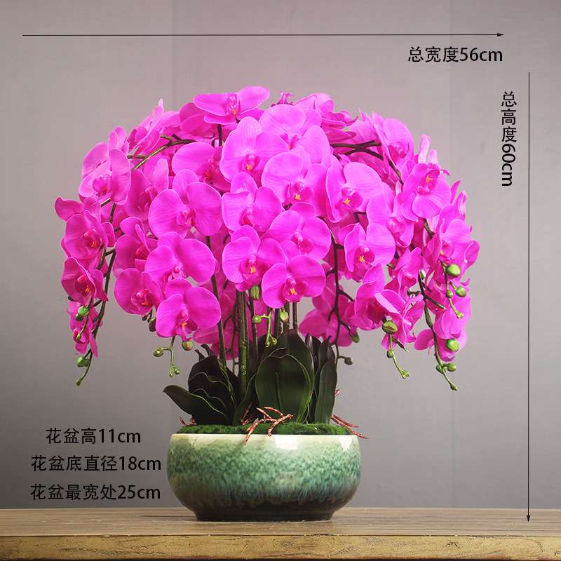手感蝴蝶兰仿真花轻奢高端可水洗假花摆件客厅高级感逼真轻奢风