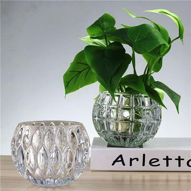 新疆包邮创意圆形大口径玻璃花瓶插花高级感水培植物黄金葛铜钱草