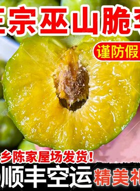 【顺丰包邮】巫山脆李脆甜礼盒装