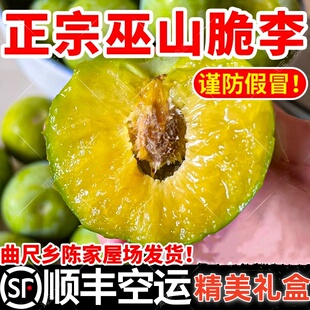 正宗重庆巫山脆李当季新鲜水果脱骨青脆李子大果整箱5斤礼盒顺丰