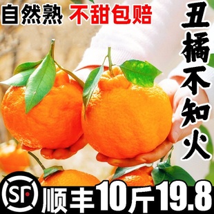 四川不知火丑橘新鲜水果桔子耙耙粑粑丑柑橘子整箱10斤礼盒装顺丰