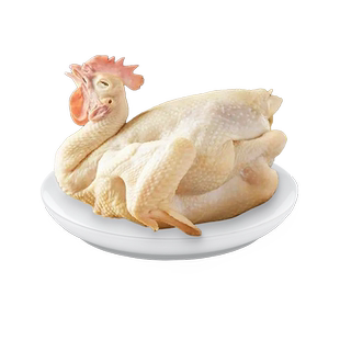 正宗清远阳山走地鸡阉鸡大扇鸡农家散养土公鸡新鲜现杀脆皮太监鸡