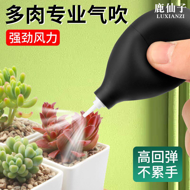 现货速发鹿仙子大号皮吹皮老虎强力气吹多肉相机镜头除尘清洁吹气